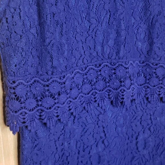 Francesca Womens Blue Lacey Sleeveless Dress Small - Picture 3 of 9